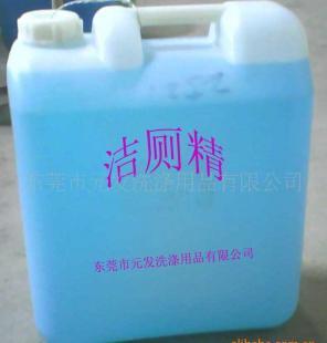 環保強力去污高效潔廁精 家居清潔的貼心助手